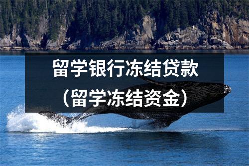 留学银行冻结贷款（留学冻结资金）