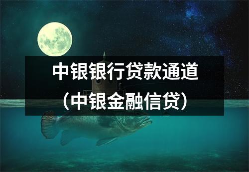 中银银行贷款通道(中银金融信贷)