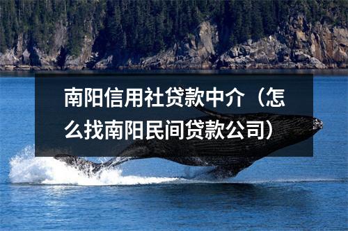 南阳信用社贷款中介（怎么找南阳民间贷款公司）