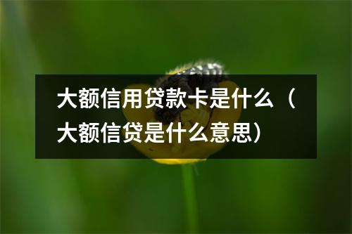 大额信用贷款卡是什么（大额信贷是什么意思）