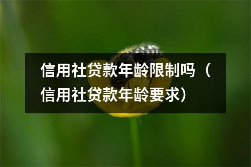 信用社贷款年龄限制吗（信用社贷款年龄要求）