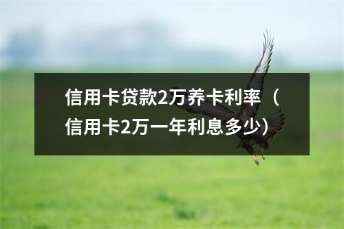 信用卡贷款2万养卡利率（信用卡2万一年利息多少）