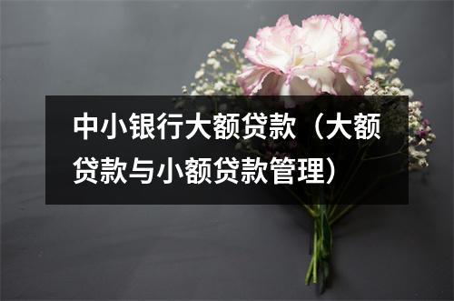 中小银行大额贷款（大额贷款与小额贷款管理）