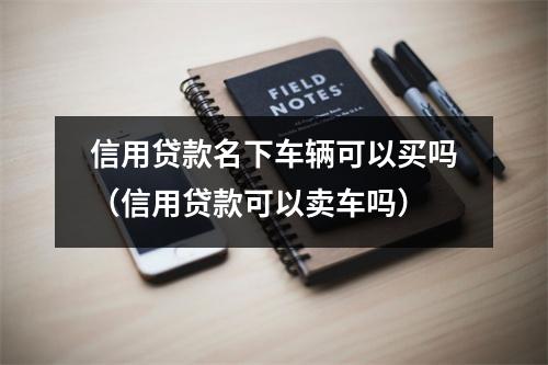 信用贷款名下车辆可以买吗（信用贷款可以卖车吗）
