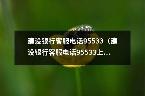 建设银行客服电话95533（建设银行客服电话95533上班时间）