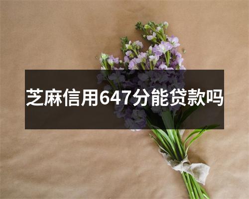 芝麻信用647分能贷款吗