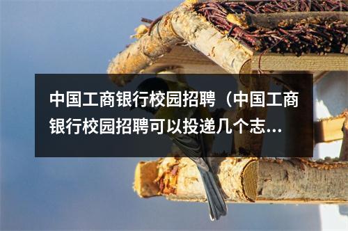 中国工商银行校园招聘(中国工商银行校园招聘可以投递几个志愿)