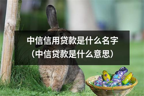 中信信用贷款是什么名字（中信贷款是什么意思）