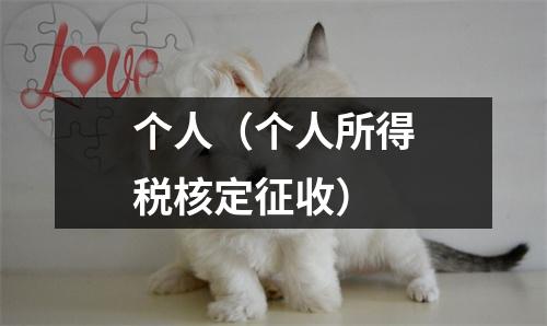 个人（个人所得税核定征收）