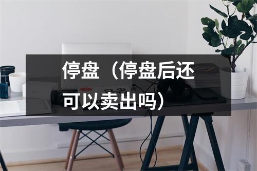 停盘（停盘后还可以卖出吗）