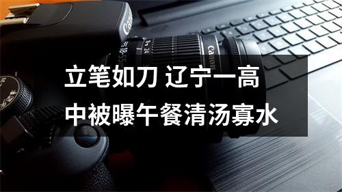 立笔如刀 辽宁一高中被曝午餐清汤寡水