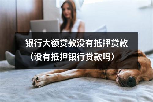 银行大额贷款没有抵押贷款（没有抵押银行贷款吗）