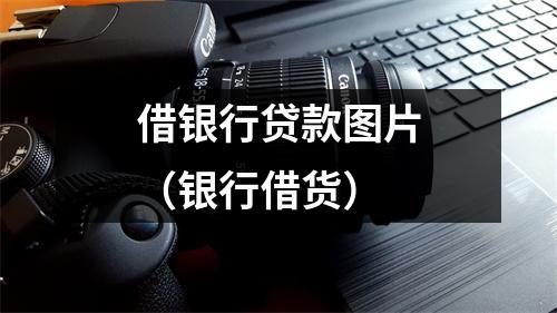 借银行贷款图片（银行借货）