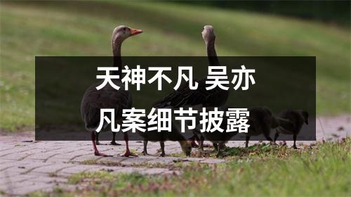 天神不凡 吴亦凡案细节披露
