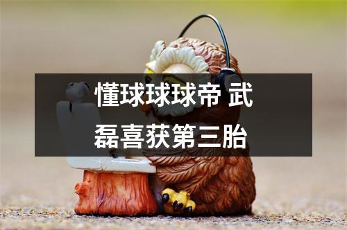 懂球球球帝 武磊喜获第三胎