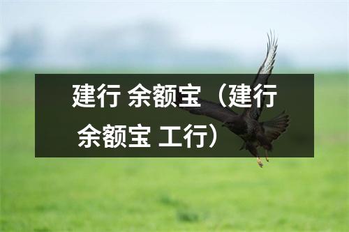 建行 余额宝（建行 余额宝 工行）