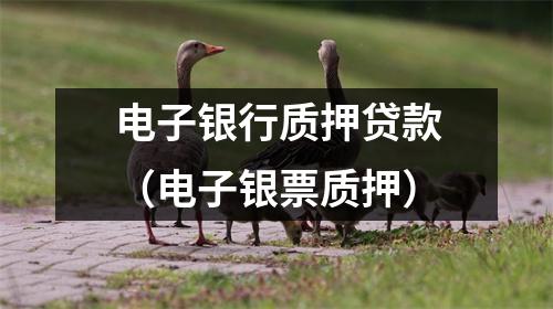 电子银行质押贷款（电子银票质押）