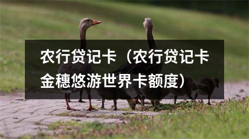 农行贷记卡（农行贷记卡金穗悠游世界卡额度）