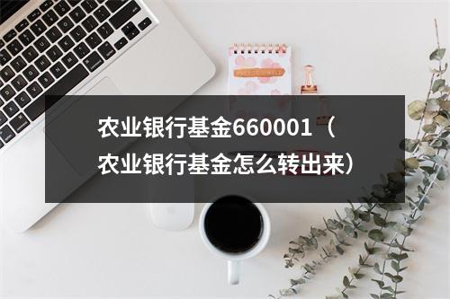 农业银行基金660001（农业银行基金怎么转出来）