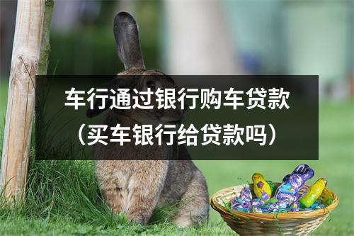 车行通过银行购车贷款（买车银行给贷款吗）
