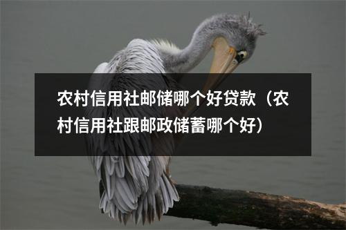 农村信用社邮储哪个好贷款（农村信用社跟邮政储蓄哪个好）