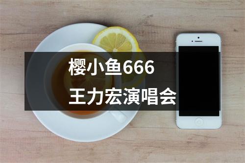 樱小鱼666 王力宏演唱会