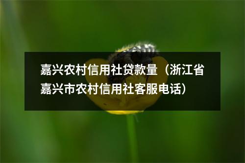 嘉兴农村信用社贷款量（浙江省嘉兴市农村信用社客服电话）