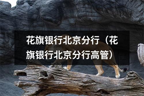 花旗银行北京分行（花旗银行北京分行高管）