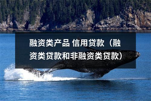 融资类产品 信用贷款（融资类贷款和非融资类贷款）