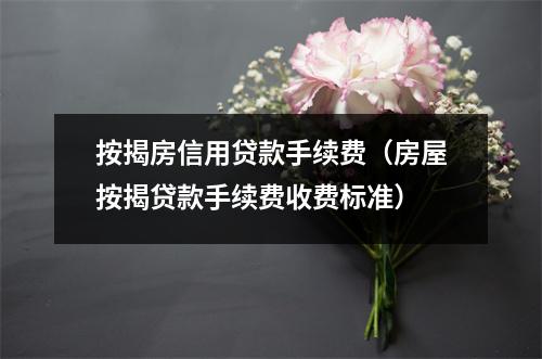 按揭房信用贷款手续费（房屋按揭贷款手续费收费标准）