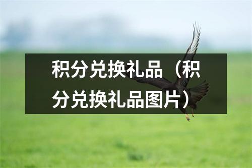 积分兑换礼品(积分兑换礼品图片)
