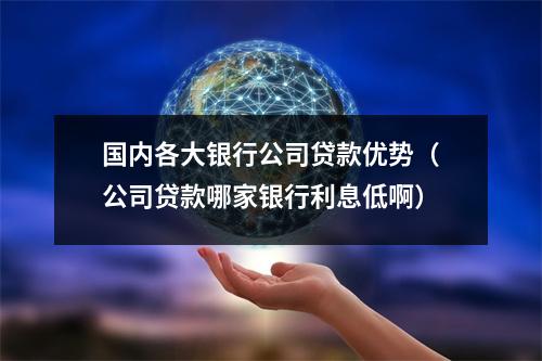 国内各大银行公司贷款优势（公司贷款哪家银行利息低啊）