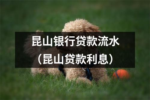 昆山银行贷款流水（昆山贷款利息）