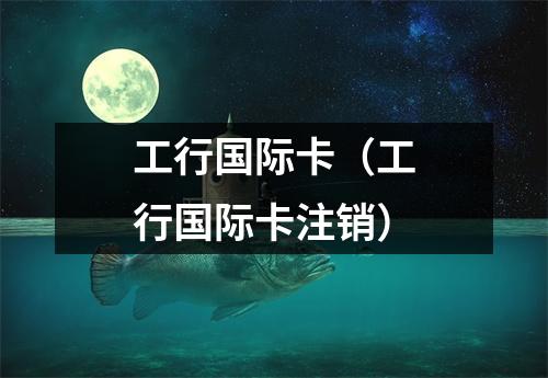 工行国际卡（工行国际卡注销）