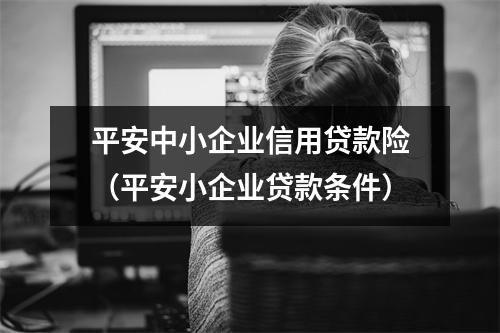 平安中小企业信用贷款险（平安小企业贷款条件）