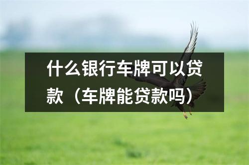 什么银行车牌可以贷款（车牌能贷款吗）