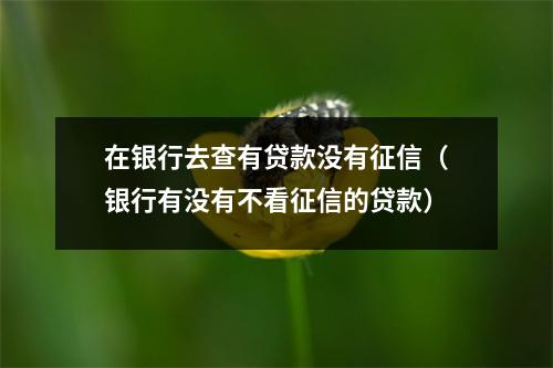 在银行去查有贷款没有征信（银行有没有不看征信的贷款）