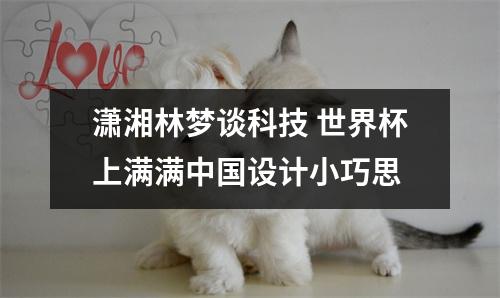 潇湘林梦谈科技 世界杯上满满中国设计小巧思