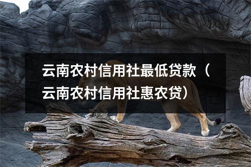 云南农村信用社最低贷款（云南农村信用社惠农贷）