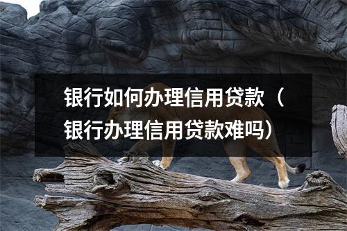 银行如何办理信用贷款（银行办理信用贷款难吗）