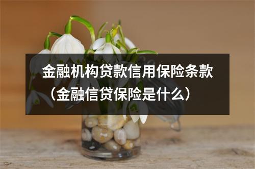 金融机构贷款信用保险条款（金融信贷保险是什么）