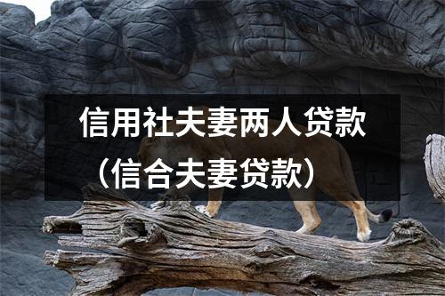 信用社夫妻两人贷款(信合夫妻贷款)