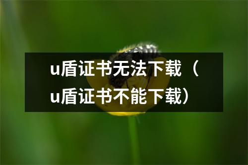 u盾证书无法下载(u盾证书不能下载)