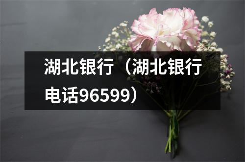 湖北银行（湖北银行电话96599）