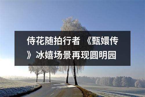 侍花随拍行者 《甄嬛传》冰嬉场景再现圆明园