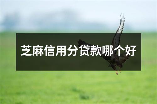 芝麻信用分贷款哪个好