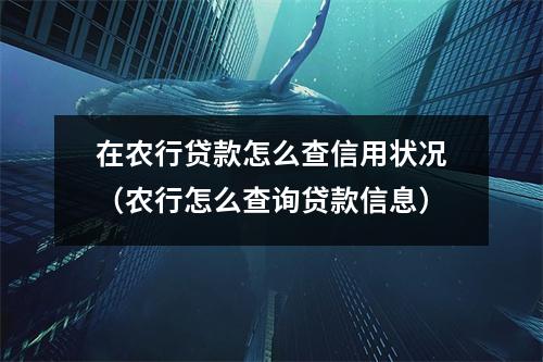 在农行贷款怎么查信用状况(农行怎么查询贷款信息)