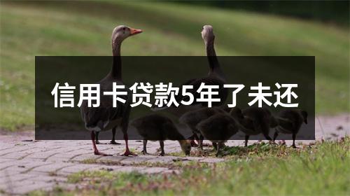 信用卡贷款5年了未还