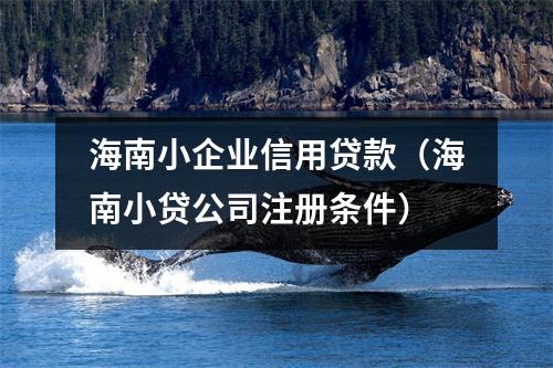 海南小企业信用贷款（海南小贷公司注册条件）