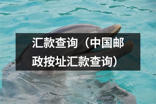 汇款查询（中国邮政按址汇款查询）